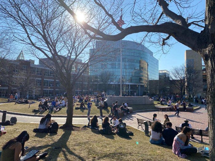  3月12日，美国东北大学学生在草地上聚集。本文均为受访者供图