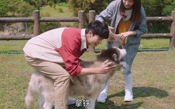 《想见你》里的布鲁斯和拿铁。图片来自网络