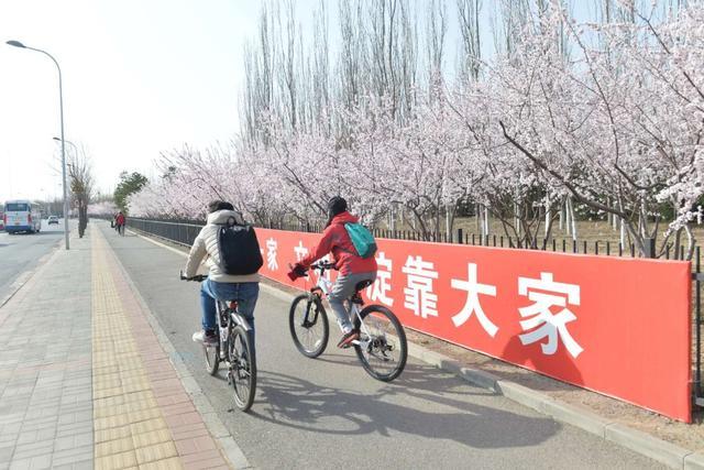 3月24日·北京要闻及抗击肺炎快报