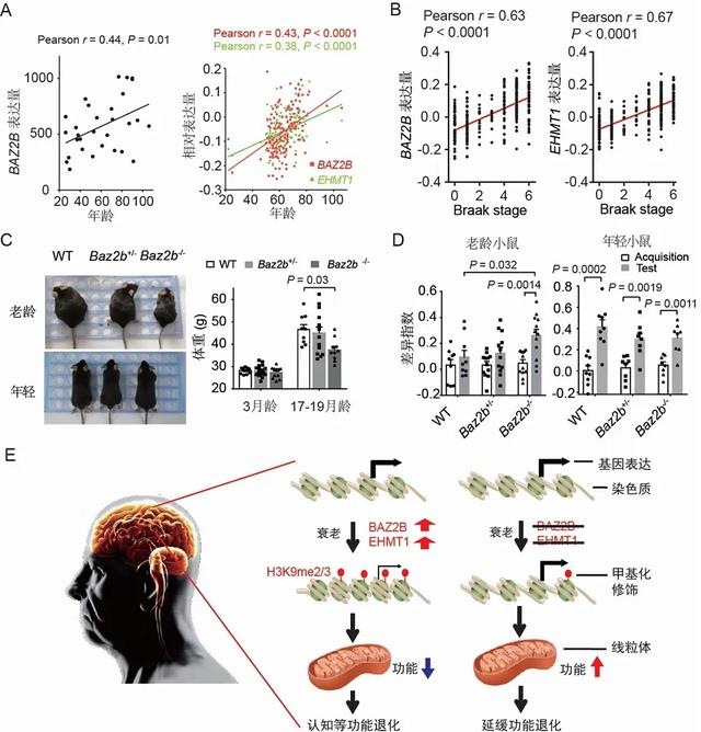 抗老抗皱护肤液推荐