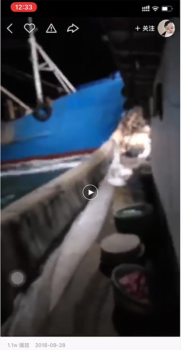 桑船长妻子上传的视频截图显示，两船发生碰撞。