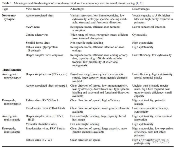 Neurosci Bulletin：利用嗜神经病毒示踪解析神经元网络结构