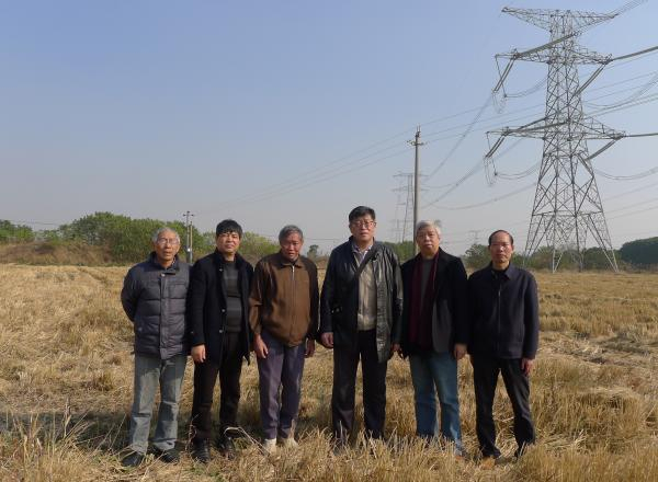 王素在嘉善惠民街道曙光村“祠堂浜”附近考察