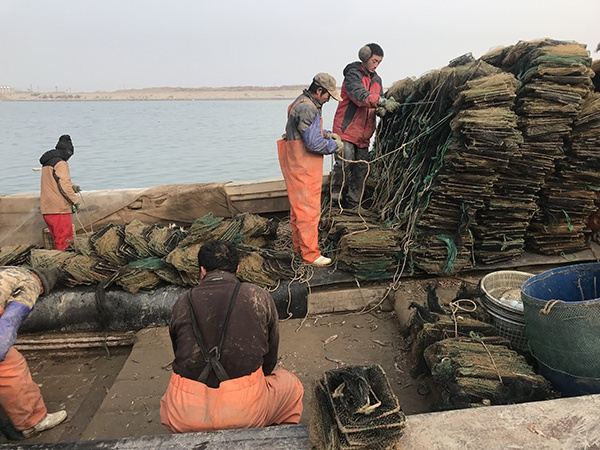 返航的渔船上水手正在收网。