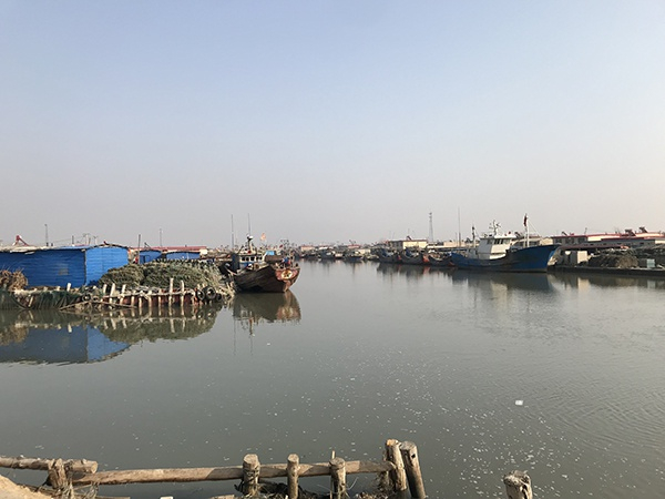 嘴东码头附近的渔业村一景。