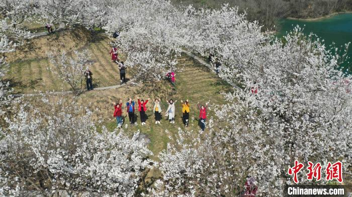 游客徜徉花海 李重庆 摄