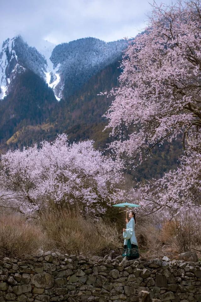 带你领略未曾见过的壮丽景色，就从这9部纪录片开始