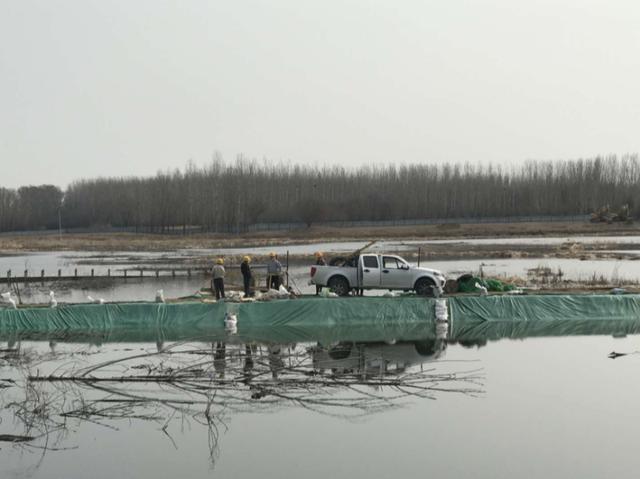 一举三得！这块湿地建成后水更清、景更美、生态更好了！