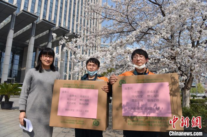 口罩发出前，大伙在樱花下合影，希望”投桃报李，共盼春来“。　崔炜 摄