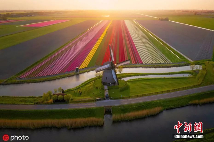  资料图：荷兰