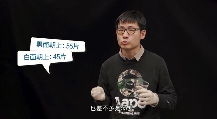 史上最无聊实验：落叶95%都是背面朝上？大史在植物园里数了一天……