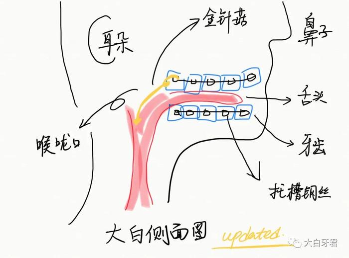 牙齿矫正的 3 大困扰，口腔科医生用亲身经历教你解决