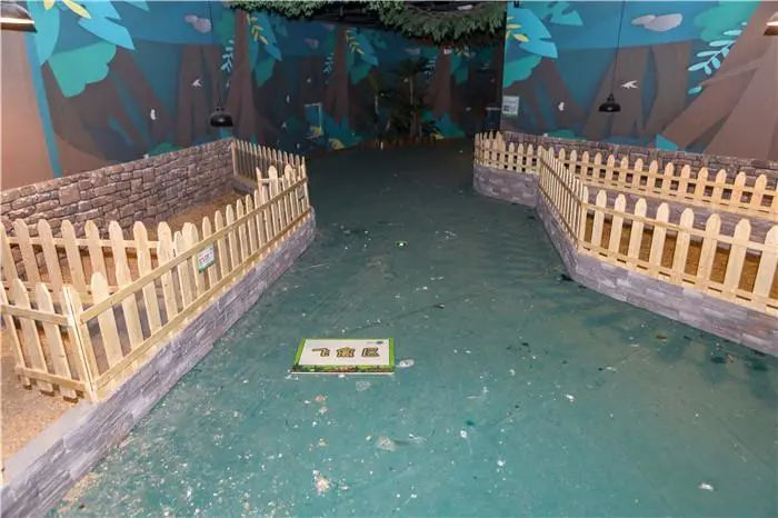  本文图片 潇湘晨报