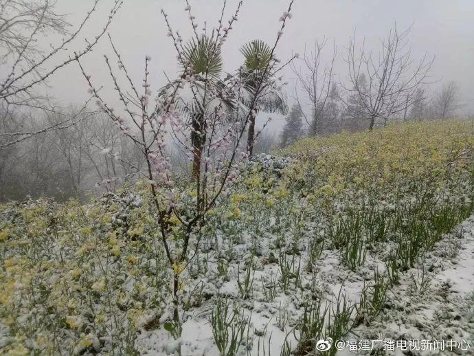 感应力超强！今天，福州和宜昌都遭遇了魔性天气