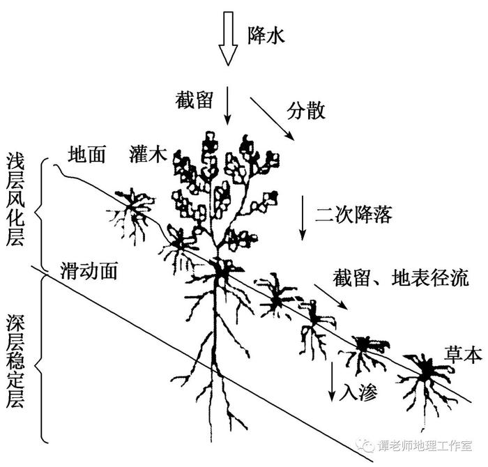 【专题归纳】高考地理环境与环境问题有哪些？常见的几种环境问题都给你找全了，高考环境专题看这份最新总结就够了！