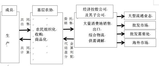 社科院杨团：韩国农协改革考察报告