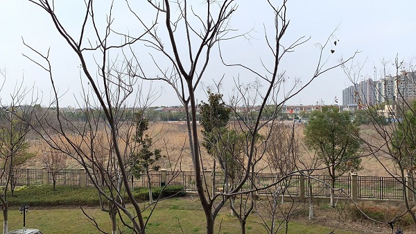 图说：新学校还未建成，目前还只是一片荒地 来源/受访者供图（下同）