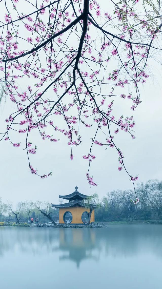 四季初始，万物生长，目之所及，皆是美好！