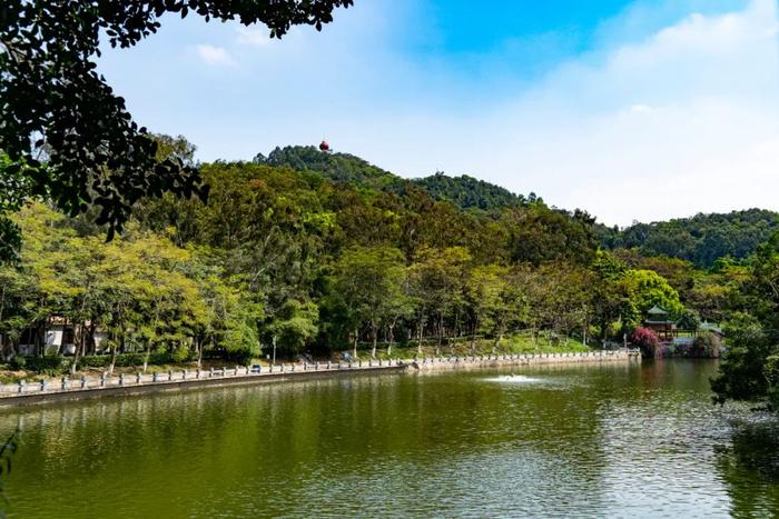 周末想逛东莞植物园？城管和交警部门呼吁：错峰逛园！