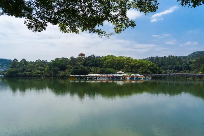 周末想逛东莞植物园？城管和交警部门呼吁：错峰逛园！