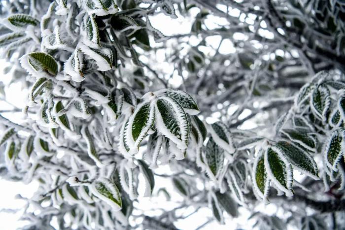 湖南这个地方，下雪了！