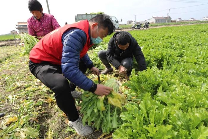 村官当起了“义务理发师”，上门服务惹人夸