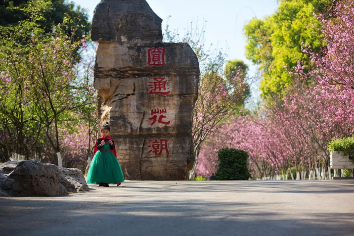 圆通花潮 都市时报资料图