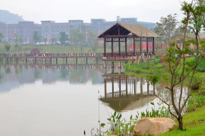 周末想逛东莞植物园？城管和交警部门呼吁：错峰逛园！