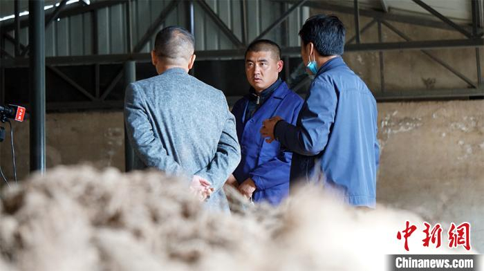 近期，经常有外地客商前来收购药材。　魏建军 摄