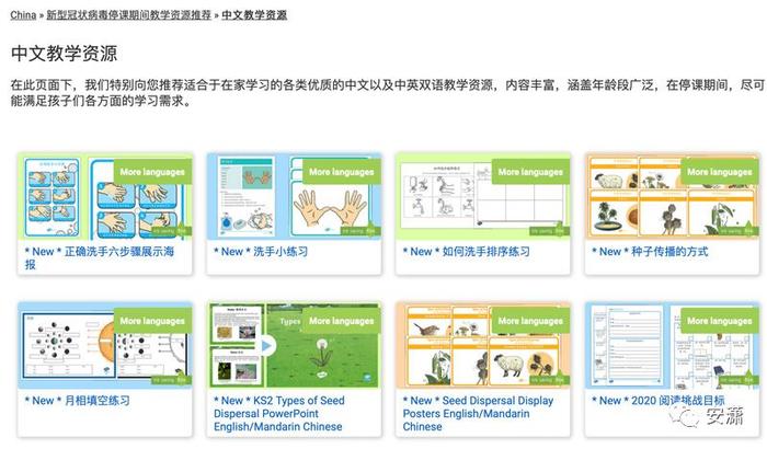 华人居家隔离必备：最好用的海外网站免费资源全分享