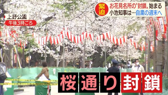 日本“半封城”后还是有一堆人赏樱，水原希子怒轰：没常识，这是在散播病毒