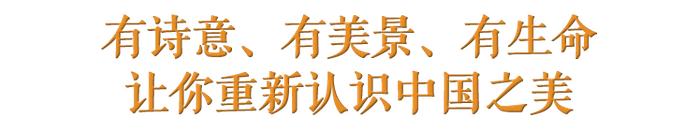 中国从哪里来？这个回答是我听过最奇妙的 | 国潮当道