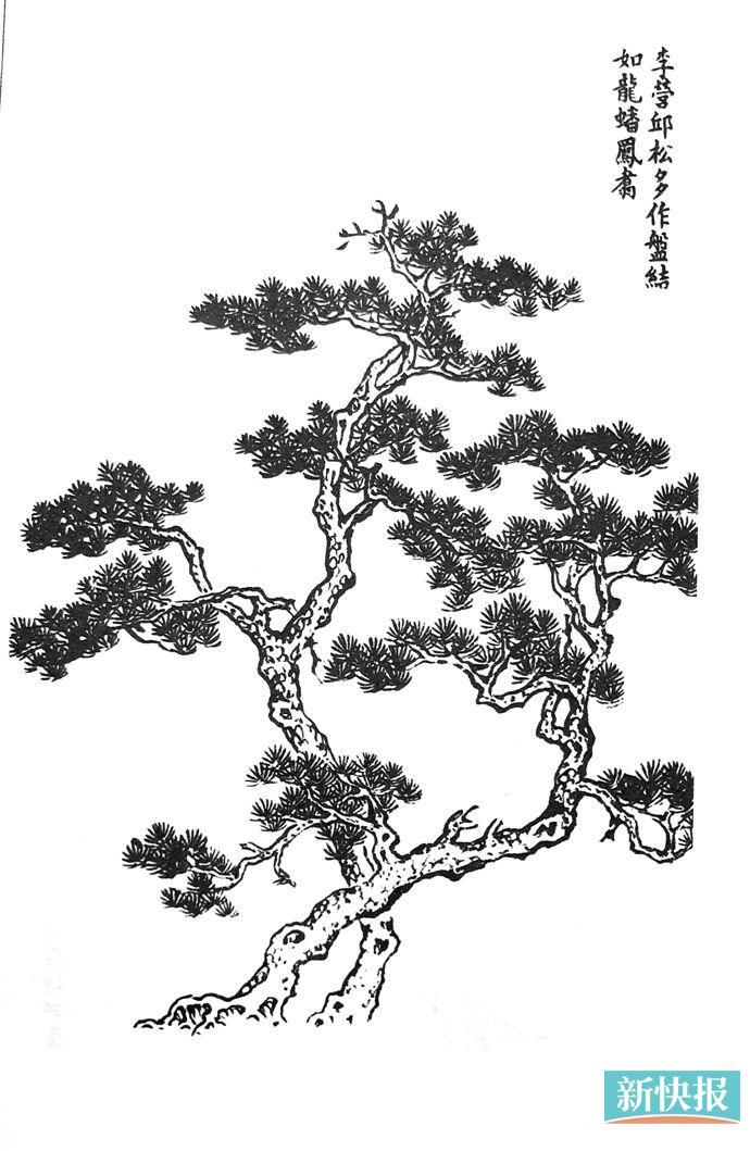 如果徐悲鸿活着,应该会反思评价“芥子园”