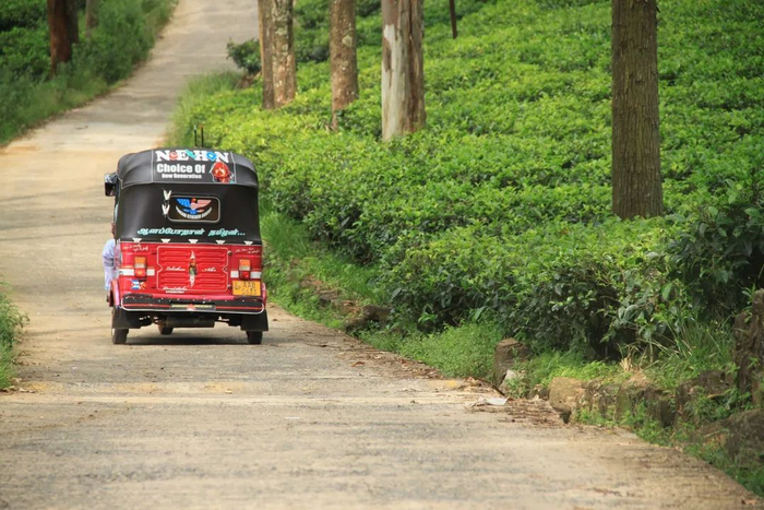 △山间小路上的tuk tuk/Pixababy