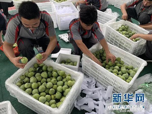 从流量猛增到订单回落，生鲜电商路在何方！人民日报：真“鲜”方能长久！