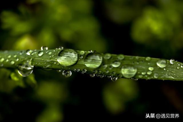 春天气候潮湿，这5种食物和4个习惯会加重体内湿气