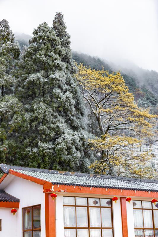 天柱山景区降春雪【组图】