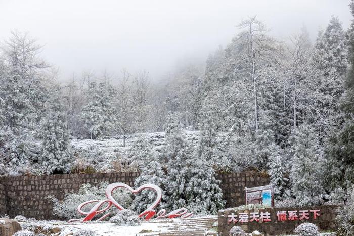 天柱山景区降春雪【组图】