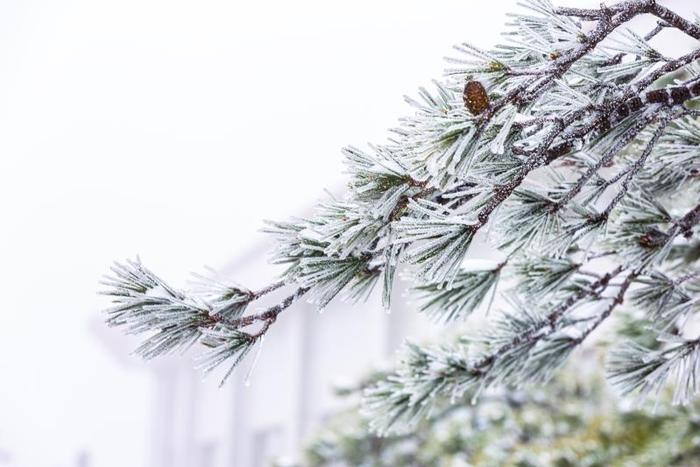 天柱山景区降春雪【组图】