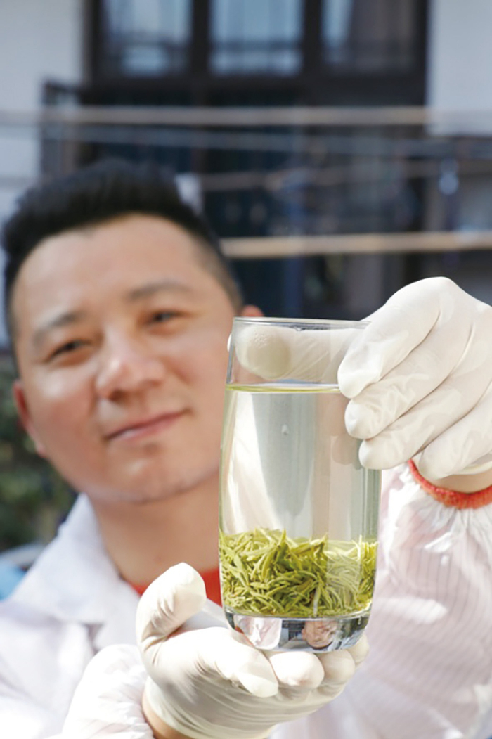 新茶网站选购全攻略：从小白到高手的实用秘籍