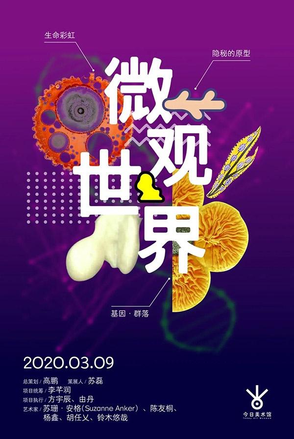 一周观展指南|唐招提寺大展尚余一周，线上云观展弥补遗憾