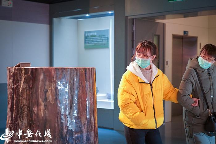 【春天的脚步】期盼已久！安徽省地质博物馆恢复开放