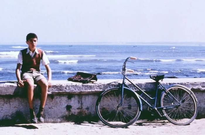 两天过去，三天过去……什么都没有发生。我不知道姐姐是否原谅了我，是羞于告人，还是不屑跟一个小屁孩计较什么。惩罚却没有因此结束。心事成魔，无处诉说，一块石头堵着，哭不出来。我整夜整夜的睡不着，睁着眼睛到天亮，等待闹钟响起，再像个犯人一样，拖着沉重的脚步去上学。