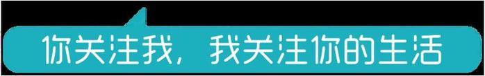 深圳湾航道疏浚工程报告涉嫌抄袭，中科院南海海洋研究所回应