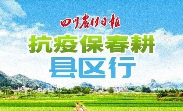 以“小而精”撬动全区农业大发展——专访五通桥区农业农村局局长赵向锋