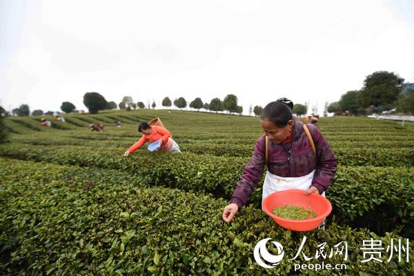 调整优化产业结构 奋力推进脱贫攻坚