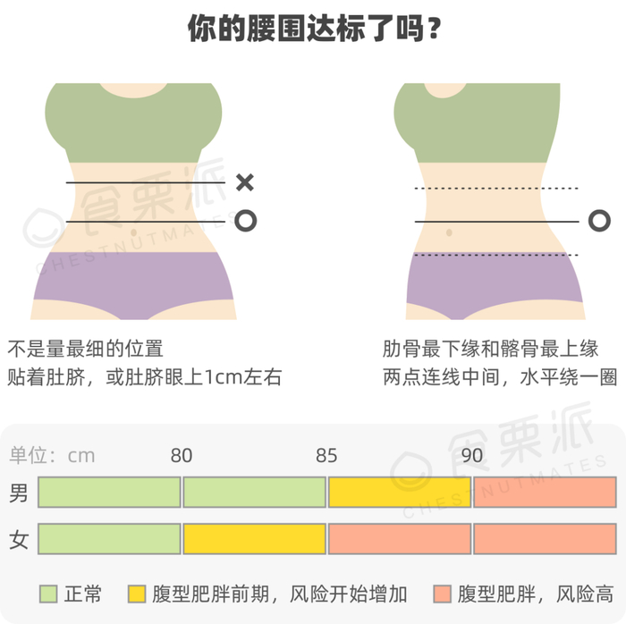 最新腰围标准出炉,快看看你达标了没
