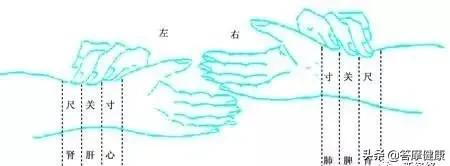 动态脉诊图来了,学脉诊不可错过