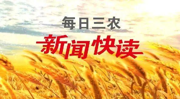 四川多个先进县、市、区名单出炉，快来家乡助力