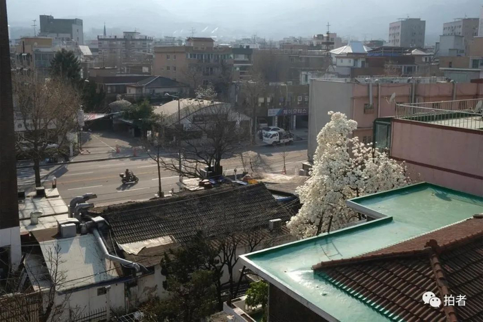 △&nbsp;当地时间3月30日，首尔，晴，高玮在自家阳台上拍下的首尔春景。